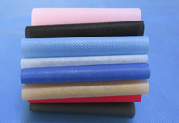 高要涤纶（PET）无纺布是什么